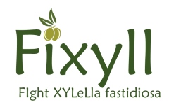 Fixyll