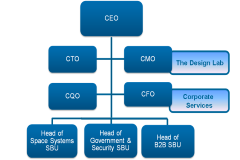 Organizational Model