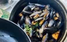 Mussels
