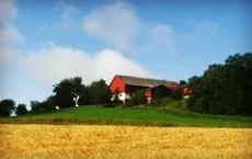 risorse agricole e forestali