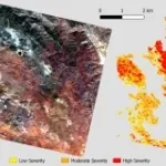 Dati iperspettrali PRISMA