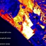 Prisma Castel Fusano