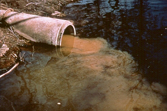 environmental crimes